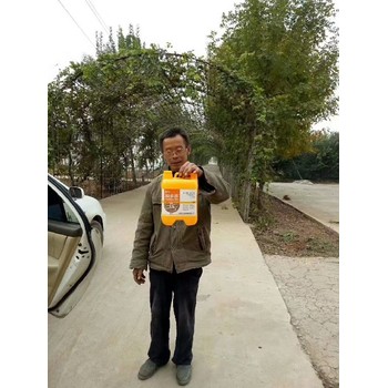 根多根旺根多壯生根劑功效,為峰肥業(yè)廠(chǎng)家