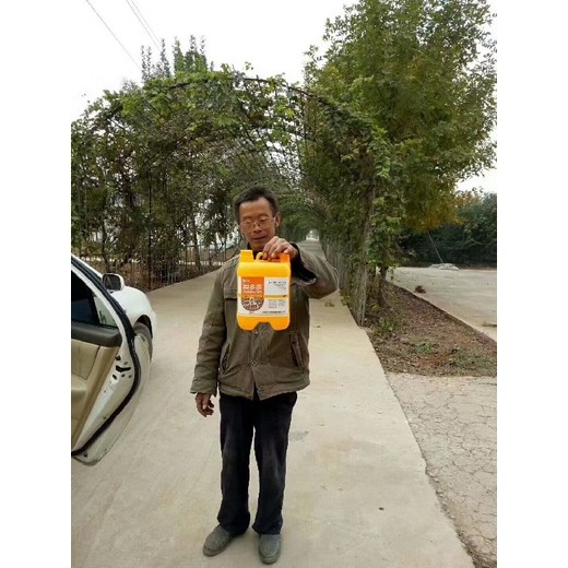 促進生根根旺生根劑加工,為峰肥業(yè)廠家