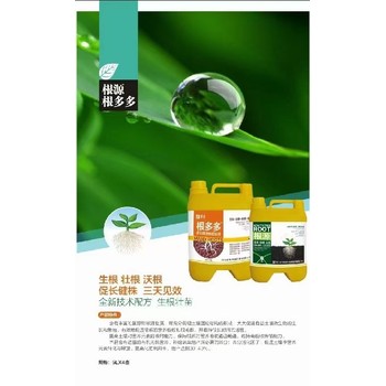 爆發(fā)生根多生根生根劑多少錢,為峰肥業(yè)廠家