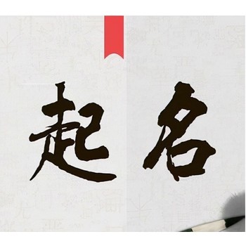 崇左江州區(qū)企業(yè)取名,貴珍大師商標(biāo)起名