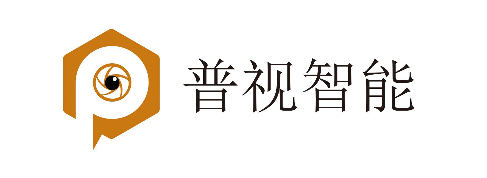 東莞普視智能科技有限公司
