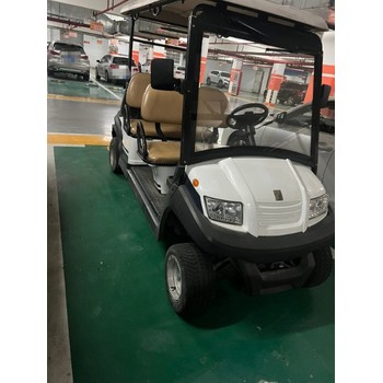 秀洲區(qū)洪合鎮(zhèn)回收二手觀光車循環(huán)利用