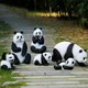 定制圖
