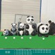 廠(chǎng)家圖