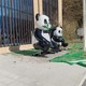定制圖