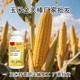 玉米金大棒貼牌,高溫干旱能用金大棒葉面肥嗎產(chǎn)品圖