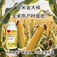 苞米金大棒使用方法圖