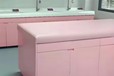 巴彥淖爾月子中心新生兒洗禮池上門安裝