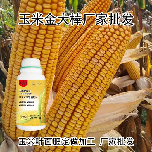 苞米葉面肥金大棒經(jīng)銷商,金大棒葉面肥多少錢一箱