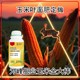 玉米高產(chǎn)金大棒定做圖