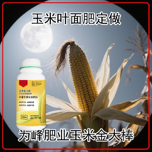 玉米金大棒貼牌,高溫干旱能用金大棒葉面肥嗎