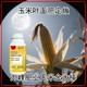 金大棒玉米葉面肥圖