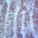 納米氧化鎂耐火材料納米氧化鎂土壤改良