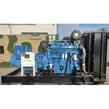 宜春豐城市租賃發(fā)電機(jī)-功率按需任選