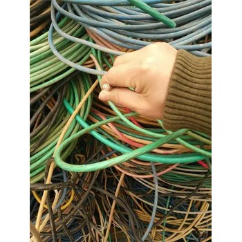 上海金山電纜線回收款式新穎電線回收