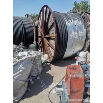 上海金山電纜線回收款式新穎電線回收