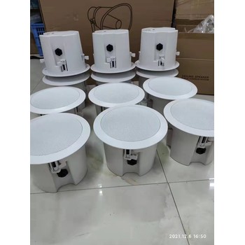 肇慶P0E供電IP網(wǎng)絡(luò)天花喇叭哪家好