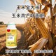 玉米金大棒生產(chǎn)廠家圖