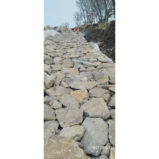 哈爾濱10%鋅鋁合金固濱籠