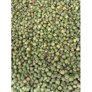 大連雞頭黃精種子