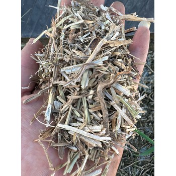 河北花生秧牧草用途