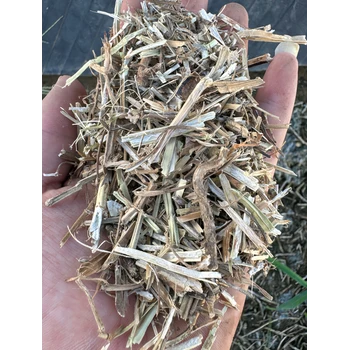 豐臺(tái)花生秧牧草用途