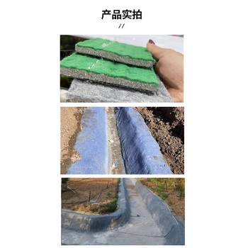 水泥毯價(jià),遼寧丹東水泥毯質(zhì)量