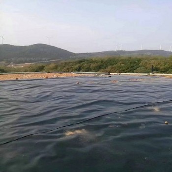 鐵礦防滲2.5mm厚度PE膜福州
