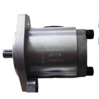 REXPOWER銳力齒輪泵RGPF320R