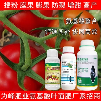 授粉座果氨基酸鈣鎂氨基酸葉面肥使用方法,氨基酸水溶肥廠家批發(fā)