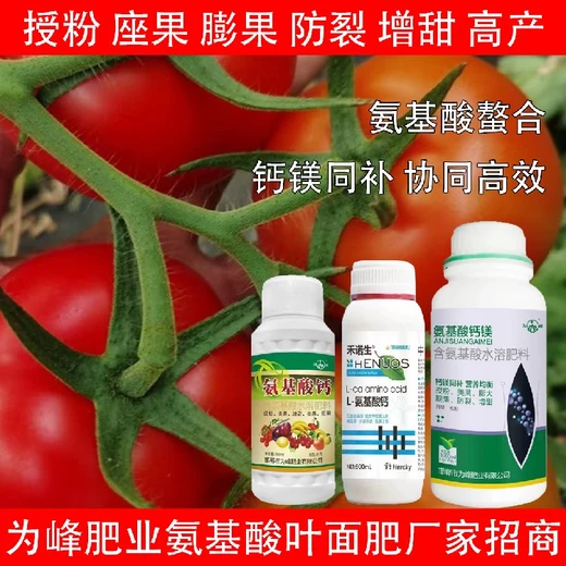 高產(chǎn)肥氨基酸鈣氨基酸葉面肥一瓶多少錢,氨基酸水溶肥廠家批發(fā)