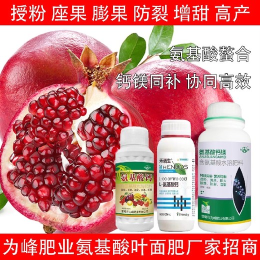 促進(jìn)生根L氨基酸氨基酸葉面肥效果,氨基酸水溶肥廠家批發(fā)