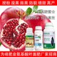 授粉座果氨基酸鈣鎂氨基酸葉面肥代理,氨基酸水溶肥廠家批發(fā)產(chǎn)品圖