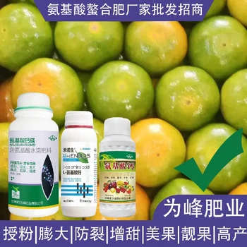 授粉座果多種氨基酸葉面肥生產(chǎn)廠家,氨基酸水溶肥廠家批發(fā)