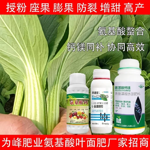 快速膨大多種氨基酸葉面肥生產(chǎn)廠(chǎng)家,氨基酸水溶肥廠(chǎng)家批發(fā)