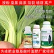 氨基酸葉面肥作用圖