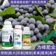 促進(jìn)授粉多種氨基酸葉面肥經(jīng)銷商,氨基酸水溶肥廠家批發(fā)產(chǎn)品圖