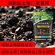 追肥松土精產(chǎn)量高圖