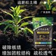 追肥松土精圖
