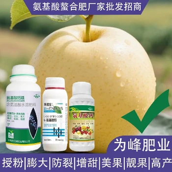 高產(chǎn)肥氨基酸鈣鎂氨基酸葉面肥作用,氨基酸水溶肥廠家批發(fā)