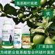 促進(jìn)授粉18種氨基酸葉面肥怎么樣,氨基酸水溶肥廠家批發(fā)產(chǎn)品圖