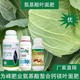 氨基酸葉面肥圖
