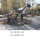 恐龍雕塑介紹圖