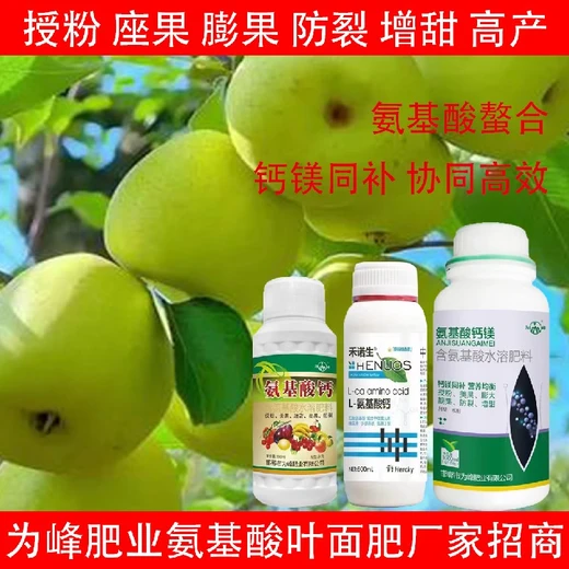 膨大增產(chǎn)氨基酸鈣鎂氨基酸葉面肥批發(fā),氨基酸水溶肥廠家批發(fā)