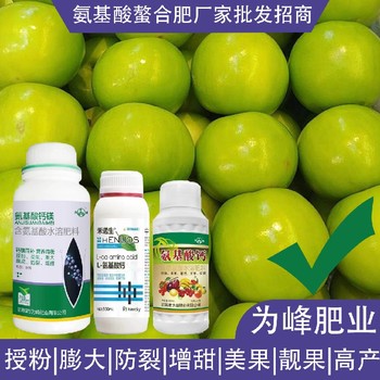 膨果為峰肥業(yè)氨基酸葉面肥效果,氨基酸水溶肥廠家批發(fā)