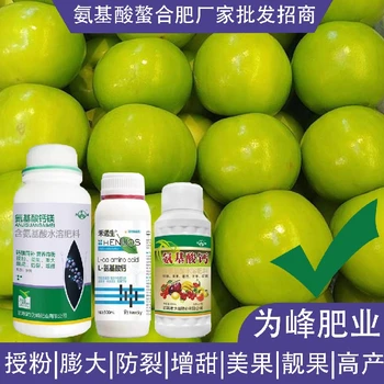 生根壯苗氨基酸鈣鎂氨基酸葉面肥廠家電話,氨基酸水溶肥廠家批發(fā)