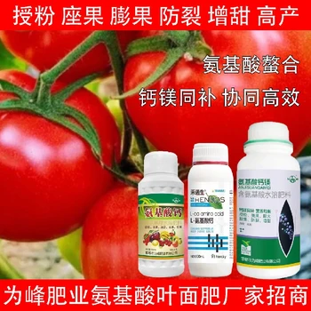 促進(jìn)授粉L氨基酸氨基酸葉面肥怎么使用,氨基酸水溶肥廠家批發(fā)