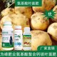 氨基酸葉面肥廠家電話圖