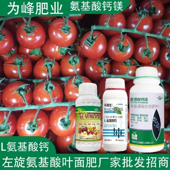 授粉座果多種氨基酸葉面肥生產(chǎn)廠家,氨基酸水溶肥廠家批發(fā)