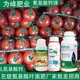 氨基酸葉面肥廠家圖